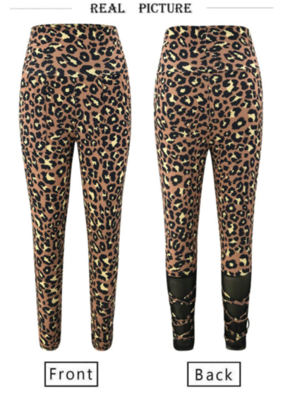 Leopard print stretch mesh leggings